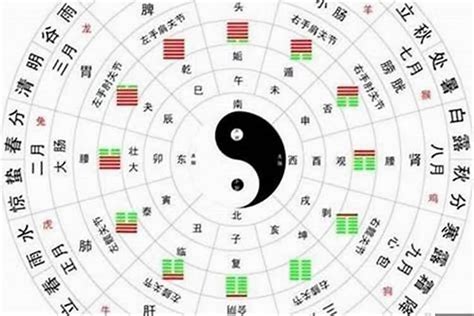 五行八字怎麼看|免費線上八字計算機｜八字重量查詢、五行八字算